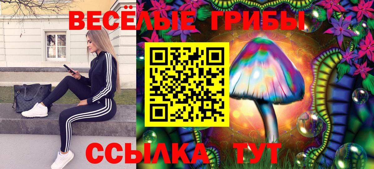 Псилоцибиновые грибы ЛСД  Вход с VPN  Нарткала  Галлюциногенные грибы ЛСД 